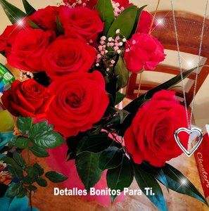 Meet your Posher, Leova